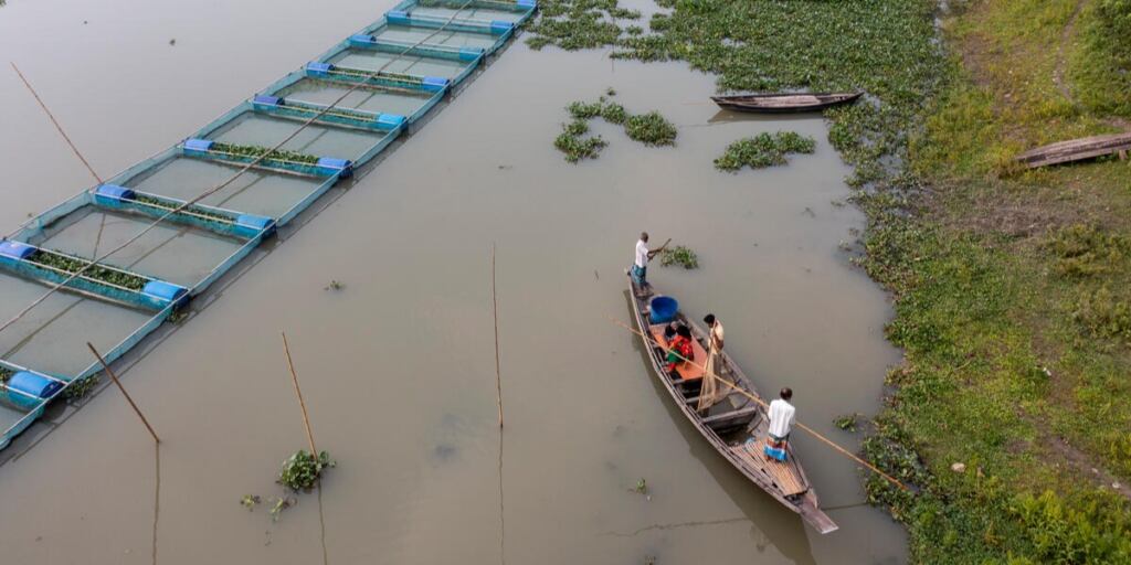 Aquaculture growth indicates its capacity to further contribute to meeting the rising global demand for aquatic foods, but future expansion and intensification must prioritise sustainability and benefit regions and communities most in need. ©FAO/Saikat Mojumder